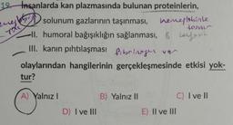 19 İnsanlarda kan plazmasında bulunan proteinlerin,
ang!
solunum gazlarının taşınması,
726
ll. humoral bağışıklığın sağlanması, B berfest
hemelobinle
tosvil
III. kanın pıhtılaşması fibrinog ver
olaylarından hangilerinin gerçekleşmesinde etkisi yok-
51
tur?
A) Yalnız I
D) I ve III
B) Yalnız II
E) II ve III
C) I ve II