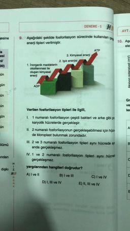 gesine
la
esi
mV
00)
jūn
gün
ün
ün
gün
ün
5lümü
indan
H
I
dışkı z
HR
RENK
9. Aşağıdaki şekilde fosforilasyon sürecinde kullanılan
enerji tipleri verilmiştir.
1. İnorganik maddelerin
oksitlenmesi ile
oluşan kimyasal
enerji
ADP
2. Işık enerjisi
DENEME-5
3. Kimyasal enerji
Verilen fosforilasyon tipleri ile ilgili,
1. 1 numaralı fosforilasyon çeşidi bakteri ve arke gibi pr
karyotik hücrelerde gerçekleşir.
ATP
II. 2 numaralı fosforilasyonun gerçekleşebilmesi için hüce
de kloroplast bulunmak zorundadır.
III. 2 ve 3 numaralı fosforilasyon tipleri aynı hücrede ay
anda gerçekleşmez.
yargılarından hangileri doğrudur?
A) I ve II
B) I ve III
D) I, III ve IV
IV. 1 ve 2 numaralı fosforilasyon tipleri aynı hücred
gerçekleşmez.
C) I ve IV
E) II, III ve IV
AYT
10. Aşa
elel
Aksiyon potansiyeli (mV)
Gr
ve
ler
A
B
m