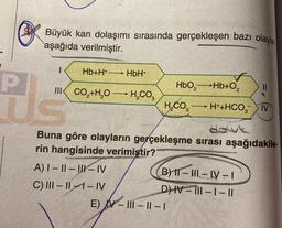 P
Büyük kan dolaşımı sırasında gerçekleşen bazı olaylar
aşağıda verilmiştir.
Hb+H+
COM
L
III CO₂+H₂O H₂CO3
A) I-II-II-IV
C) III-II-IV
HbH+
-
Buna göre olayların gerçekleşme sırası aşağıdakile
rin hangisinde verimiştir?
HbO₂Hb+Q₂2
H₂CO3 → H++HCO, IV
dowk
B) I-III-IV-1
D) IV-III-1 - ||
E) V-III-11-1