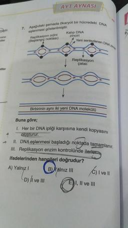 titler
7. Aşağıdaki şemada ökaryot bir hücredeki DNA
eşlenmesi gösterilmiştir.
Replikasyon orjini
(Başlangıç noktası)
AYT AYNASI
Kalıp DNA
zinciri
D) II ve III
Yeni sentezlenen DNA zin
Replikasyon
çatalı
Birbirinin aynı iki yeni DNA molekülü
Buna göre;
I. Her bir DNA ipliği karşısına kendi kopyasını
oluşturur.
II. DNA eşlenmesi başladığı noktada tamamlanır.
III. Replikasyon enzim kontrolünde ilerler
ifadelerinden hangileri doğrudur?
G
A) Yalnız I
B) Yalnız III
C) I ve II
EI, II ve III
L