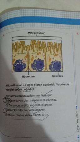 Mikrovilluslar
MARA
Hücre zarı
Çekirdek
Mikrovilluslar ile ilgili olarak aşağıdaki ifadelerden
hangisi doğru değildir?
A) Plazma zarının katlanması ile oluşur.
(B) Hücre duvarı olan canlılarda rastlanmaz.
C) Zar boyunca difüzyon oranını arttırır.
Mikrotübüller ile desteklenirler.
E) Hücre zarının yüzey alanını arttır.
◆. Zafer Yayınları