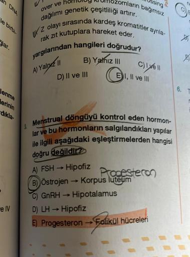 in DNA
le birbi
Sar.
lenme
erinin
dıkla-
e IV
3
sing
zomların bağımsız
over ve
dağılımı genetik çeşitliliği artırır.
UZ olayı sırasında kardeş kromatitler ayrila-
rak zıt kutuplara hareket eder.
yargılarından hangileri doğrudur?
B) Yalnız III
A) Yalnız II
