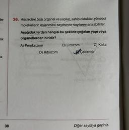 in-
ilik
la-
38
36. Hücredeki bazı organel ve yapılar, sahip oldukları yönetici
moleküllerin eşlenmesi sayesinde sayılarını artırabilirler.
Aşağıdakilerden hangisi bu şekilde çoğalan yapı veya
organellerden biridir?
Tid
2.00
A) Peroksizom
D) Ribozom
B) Lizozom
C) Koful
EÇekirdek
Diğer sayfaya geçiniz.