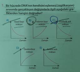 7. Bir hücrede DNA'nın kendisini eşlemesi (replikasyon)
sırasında gerçekleşen değişimlerle ilgili aşağıdaki gra-
fiklerden hangisi doğrudur?
A)
Urasil bazı
miktarı
D)
Zaman
B)
Deoksiriboz
miktarı
Zaman
Adenin bazı
miktarı
Zaman
E)
Amino asit
miktarı
Zaman
Fosforik asit
miktarı
Zaman