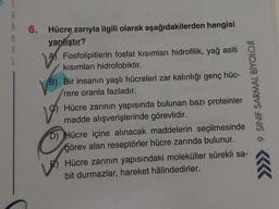 S
A
M
A
6.
Hücre zarıyla ilgili olarak aşağıdakilerden hangisi
yanlıştır?
Fosfolipitlerin fosfat kısımları hidrofilik, yağ asiti
kısımları hidrofobiktir.
W
B) Bir insanın yaşlı hücreleri zar kalınlığı genç hüc-
rere oranla fazladır.
Hücre zarının yapısında bulunan bazı proteinler
madde alışverişlerinde görevlidir.
9. SINIF SARMAL BİYOLOJİ
D) Hücre içine alınacak maddelerin seçilmesinde
görev alan reseptörler hücre zarında bulunur.
Hücre zarının yapısındaki moleküller sürekli sa-
bit durmazlar, hareket hâlindedirler.
16