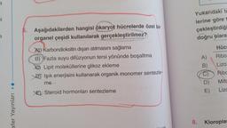 a
el
9
afer Yayınları ♦♦
Aşağıdakilerden hangisi ökaryot hücrelerde özel bir
organel çeşidi kullanılarak gerçekleştirilmez?
A Karbondioksitin dışarı atılmasını sağlama
B) Fazla suyu difüzyonun tersi yönünde boşaltma
Lipit moleküllerine glikoz ekleme
DIşık enerjisini kullanarak organik monomer sentezle-
me
XE Steroid hormonları sentezleme
8.
Yukarıdaki ta
lerine göre
çekleştirdiği
doğru olara
Hüc
Ribo:
Lizo:
Ribc
Mitc
Lizc
A)
B)
C)
D)
E)
Kloroplas