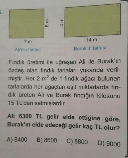 7m
Ali'nin tarlası
6 m
4 m
14 m
Burak'ın tarlası
Fındık üretimi ile uğraşan Ali ile Burak'ın
özdeş olan fındık tarlaları yukarıda veril-
miştir. Her 2 m² de 1 fındık ağacı bulunan
tarlalarda her ağaçtan eşit miktarlarda fin-
dık üreten Ali ve Burak fındığı