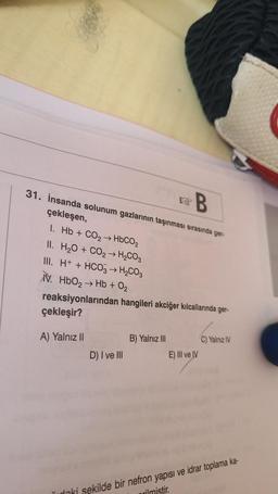 B
31. İnsanda solunum gazlarının taşınması sırasında ger-
çekleşen,
I.
Hb + CO2 → HbCO,
II. H₂O + CO₂ → H₂CO3
III. H+ + HCO3 → H₂CO3
V. HbO₂ → Hb + 0₂
reaksiyonlarından hangileri akciğer kılcallarında ger-
çekleşir?
A) Yalnız II
D) I ve III
B) Yalnız III
E) IlIl ve IV
C) Yalnız IV
daki şekilde bir nefron yapısı ve idrar toplama ka-
rilmistir.