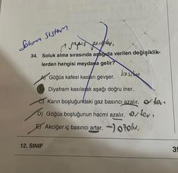 Solym Sistem
papes peuples,
34. Soluk alma sırasında aşağıda verilen değişiklik-
lerden hangisi meydana gelir?
ko si
Göğüs kafesi kasları gevşer.
Diyafram kasılarak aşağı doğru iner.
C) Karın boşluğundaki gaz basıncı azalır. Orton
D) Göğüs boşluğunun hacmi azalır. Or,
E Akciğer iç basıncı artar.-)otol,
12. SINIF
39