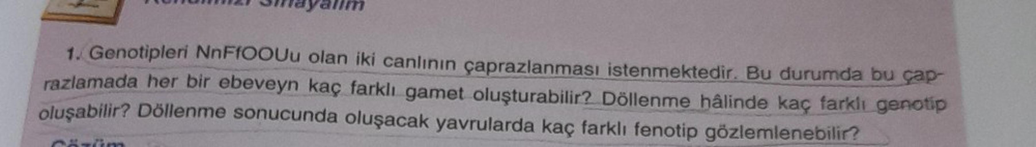 1. Genotipleri NnFfOOUu olan iki canlının çaprazlanması istenmektedir. Bu durumda bu çap-
razlamada her bir ebeveyn kaç farklı gamet oluşturabilir? Döllenme hâlinde kaç farklı genotip
oluşabilir? Döllenme sonucunda oluşacak yavrularda kaç farklı fenotip gö