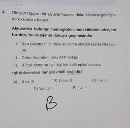 4. Oksijen taşıyan bir alyuvar hücresi doku kılcalina geldiğin-
de oksijenini bırakır.
Alyuvarda bulunan hemoglobin molekülünün oksijeni
bırakıp, bu oksijenin dokuya geçmesinde;
1. Kan plazması ile doku sıvısının oksijen konsantrasyo-
nu
II. Doku hücrelerindeki ATP miktarı
III. Kılcal damarın içerdiği tek katlı epitel dokusu
faktörlerinden hangisi etkili değildir?
A) I, II ve III
D) Yalnız III
B) Yalnız II
B
E) I ve II
C) I ve III