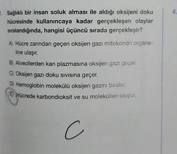 1. Sağlıklı bir insan soluk alması ile aldığı oksijeni doku
hücresinde kullanıncaya kadar gerçekleşen olaylar
sıralandığında, hangisi üçüncü sırada gerçekleşir?
A) Hücre zarından geçen oksijen gazı mitokondri organe-
line ulaşır.
B) Alveollerden kan plazmasına oksijen gazı geçer.
C) Oksijen gazı doku sıvısına geçer.
D) Hemoglobin molekülü oksijen gazını bırakır.
E) Hücrede karbondioksit ve su molekülleri oluşur.
C
4.