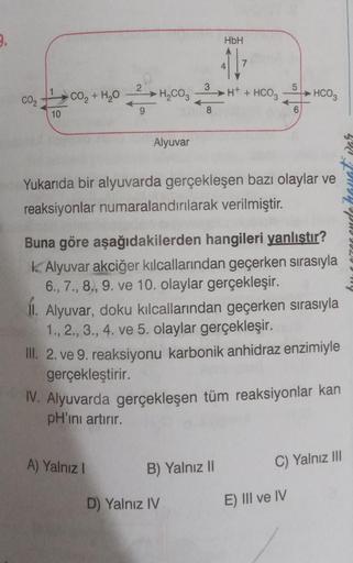 9.
CO2
10
CO, + H2O
2
9
H₂CO3
Alyuvar
A) Yalnız I
3
8
HbH
411²
D) Yalnız IV
-H+ + HCO3
Yukarıda bir alyuvarda gerçekleşen bazı olaylar ve
reaksiyonlar numaralandırılarak verilmiştir.
B) Yalnız II
5
Buna göre aşağıdakilerden hangileri yanlıştır?
k Alyuvar a