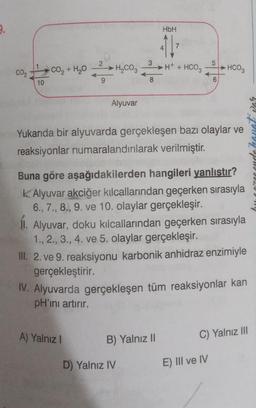 9.
CO2
10
CO, + H2O
2
9
H₂CO3
Alyuvar
A) Yalnız I
3
8
HbH
411²
D) Yalnız IV
-H+ + HCO3
Yukarıda bir alyuvarda gerçekleşen bazı olaylar ve
reaksiyonlar numaralandırılarak verilmiştir.
B) Yalnız II
5
Buna göre aşağıdakilerden hangileri yanlıştır?
k Alyuvar akciğer kılcallarından geçerken sırasıyla
6., 7., 8., 9. ve 10. olaylar gerçekleşir.
II. Alyuvar, doku kılcallarından geçerken sırasıyla
1., 2., 3., 4. ve 5. olaylar gerçekleşir.
6
III. 2. ve 9. reaksiyonu karbonik anhidraz enzimiyle
gerçekleştirir.
HCO3
IV. Alyuvarda gerçekleşen tüm reaksiyonlar kan
pH'ını artırır.
E) IIl ve IV
C) Yalnız III