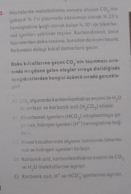 3. Hücrelerde metabolizma sonucu oluşan CO₂'nin
yakaşık %-7'si plazmada çözünmüş olarak % 23'ü
hemoglobine bağlı olarak kalan % 70'i de bikarbo-
nat iyonları şeklinde taşınır. Karbondioksit, önce
hücrelerden doku sıvısına, buradan da kısmi basınc
farkından dolayı kılcal damarlara geçer.
I
Doku kılcallarına geçen CO₂'nin taşınması sıra-
sında meydana gelen olaylar sıraya dizildiğinde
aşağıdakilerden hangisi üçüncü sırada gerçekle-
şir?
A) CO, alyuvarda karbonikanhidraz enzimi ile H₂O
ile birleşir ve karbonik asit (H₂CO3) oluşur.
B) Bikarbonat iyonları (HCO3) sitoplazmaya ge-
çerken, hidrojen iyonları (H*) hemoglobine bağ-
lanır.
C) Alveol kılcallarında alyuvar içerisinde bikarbo-
nat ve hidrojen iyonları birleşir.
D) Karbonik asit, karbonikanhidraz enzimi ile CO₂
ve H₂O moleküllerine ayrışır.
E) Karbonik asit, H* ve HCO iyonlarına ayrışır.