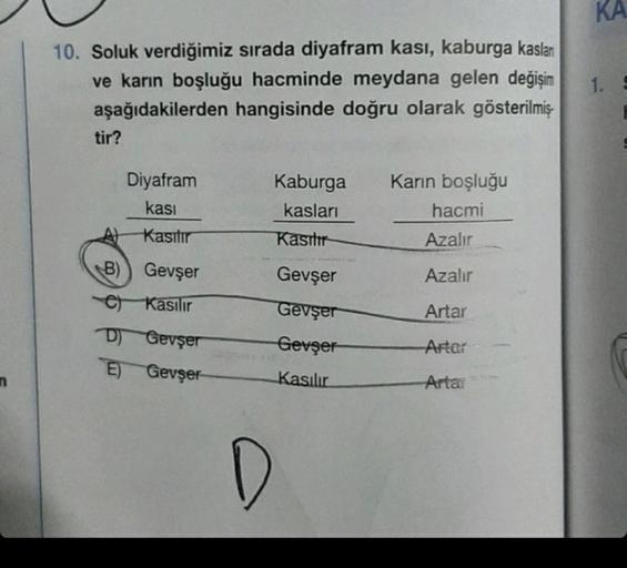 10. Soluk verdiğimiz sırada diyafram kası, kaburga kaslan
ve karın boşluğu hacminde meydana gelen değişim
aşağıdakilerden hangisinde doğru olarak gösterilmiş-
tir?
Diyafram
kası
Kasıtır
B) Gevşer
C) Kasılır
D) Gevşer
E) Gevşer
D
Kaburga Karın boşluğu
kasla