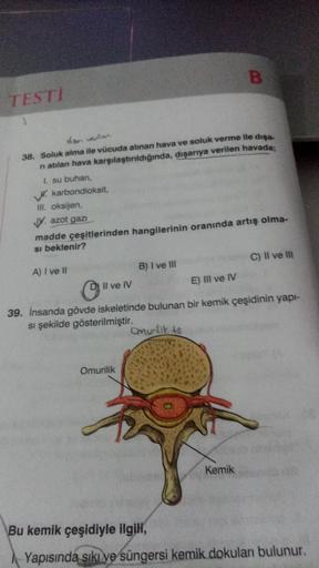 TESTİ
disa ventan
38. Soluk alma ile vücuda alınan hava ve soluk verme ile dışa-
ni atılan hava karşılaştırıldığında, dışarıya verilen havada;
I. su buharı,
karbondioksit,
III. oksijen,
V. azot gazı
madde çeşitlerinden hangilerinin oranında artış olma-
si 