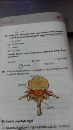TESTİ
disa ventan
38. Soluk alma ile vücuda alınan hava ve soluk verme ile dışa-
ni atılan hava karşılaştırıldığında, dışarıya verilen havada;
I. su buharı,
karbondioksit,
III. oksijen,
V. azot gazı
madde çeşitlerinden hangilerinin oranında artış olma-
si beklenir?
A) I ve II
Il ve IV
B
B) I ve III
Omurilik
E) Ill ve IV
39. İnsanda gövde iskeletinde bulunan bir kemik çeşidinin yapı-
si şekilde gösterilmiştir.
Omurlik te
Kemik
C) II ve III
Bu kemik çeşidiyle ilgili,
Yapısında sıkı ve süngersi kemik dokuları bulunur.