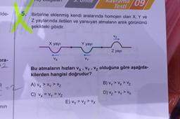 ilde-
ora-
2
nın
muy
angalan
X yayı
5. Birbirine eklenmiş kendi aralarında homojen olan X, Y ve
Z yaylarında iletilen ve yansıyan atmaların anlık görünümü
şekildeki gibidir.
3. Unite
Vx
A) Vx > Vy > Vz
C) Vx = Vy = Vz
Y yayı
Kavrama 09
Testi
Vy
Bu atmaların hızları Vx, Vy, Vz olduğuna göre aşağıda-
kilerden hangisi doğrudur?
E) Vy > V₂ > Vx
VZ
Z yayı
B) Vy > Vx > Vz
D) V₂ > Vy > Vx