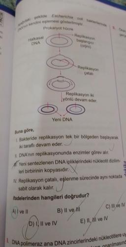 Apadidaki şekilde Escherichia coli bakterilerinde
ONA'nın kendini eşlemesi gösterilmiştir.
Prokaryot hücre
Halkasal
DNA
000
Yeni DNA
-Replikasyon
başlangıcı
(orjini)
Replikasyon
çatalı
Replikasyon iki
yönlü devam eder.
D) I, II ve IV
Buna göre,
1. Bakteride replikasyon tek bir bölgeden başlayarak
iki taraflı devam eder.
II. DNA'nın replikasyonunda enzimler görev alır.
Yeni sentezlenen DNA ipliklerindeki nükleotit dizilim-
leri birbirinin kopyasıdır.
IV. Replikasyon çatalı, eşlenme sürecinde aynı noktada
sabit olarak kalır.
ifadelerinden hangileri doğrudur?
A) I ve II
B) II ve I
9. Okary
gerçe
E) II, II ve IV
C) IIl ve IV
In
8. DNA polimeraz ana DNA zincirlerindeki nükleotitlere uy
onarılmasınd