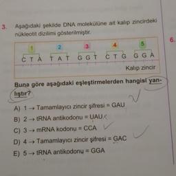 3. Aşağıdaki şekilde DNA molekülüne ait kalıp zincirdeki
nükleotit dizilimi gösterilmiştir.
1
2
CTA FAT
3
GGT
4
5
CTG GGA
Kalıp zincir
Buna göre aşağıdaki eşleştirmelerden hangisi yan-
liştır?
N
A) 1→ Tamamlayıcı zincir şifresi = GAU
B) 2→ tRNA antikodonu = UAUX
C) 3→ mRNA kodonu = CCA
D) 4→ Tamamlayıcı zincir şifresi = GAC
E) 5→ tRNA antikodony = GGA
6.