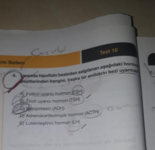 rin Sistem
Corul
4. osanda hipofizin bezinden salgılanan aşağıdaki hormo
eşitlerinden hangisi, başka bir endokrin bezi uyarmaz
A Folikül uyarıcı hormon (FSH)
B) Tiroit uyarıcı hormon (TSH)
Vasopressin (ADH)
Test 10
DY Adrenokortikotropik hormon (ACTH)
Lute