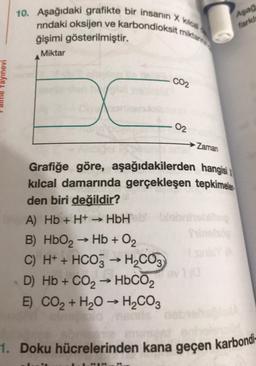 dilfie Yayınevi
10. Aşağıdaki grafikte bir insanın X kılcal
nındaki oksijen ve karbondioksit miktar
ğişimi gösterilmiştir.
Miktar
A) Hb + H+ → HbH
B) HbO₂ → Hb + 0₂
C) H+ + HCO3 → H₂CO3
D) Hb + CO₂ → HbCO2
E) CO₂ + H₂O → H₂CO3
->
CO2
Zaman
Grafiğe göre, aşağıdakilerden hangisi
kılcal damarında gerçekleşen tepkimeler
den biri değildir?
02
** 3 **
Aşağ
farkl
Tinelsög
sinley (A
1. Doku hücrelerinden kana geçen karbondi-