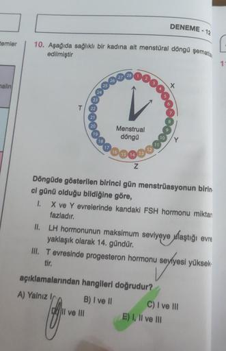 temler
malin
T
10. Aşağıda sağlıklı bir kadına ait menstüral döngü şematiz
edilmiştir
21
Menstrual
döngü
14
Il ve III
Z
DENEME-
Döngüde gösterilen birinci gün menstrüasyonun birin
ci günü olduğu bildiğine göre,
E-12
1. X ve Y evrelerinde kandaki FSH hormon