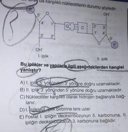 P
da karşılıklı nükleotitlerin durumu şöyledir:
OH
5'
4' 1"
3'
OH™
2₁
1. iplik
CC
C
2'
1'
O
34
in
P
II. iplik
Bu iplikler ve yapılarla ilgili aşağıdakilerden hangisi
yanlıştır?
A) I. iplik 5' yönünden 3' yönüne doğru uzamaktadır.
B) II. iplik 3' yönünden 5' yönüne doğru uzamaktadır.
C) Nükleotitler karşılıklı olarak hidrojen bağlarıyla bağ-
lanır.
D) I. plikle iplik birbirine ters uzar.
E) Fosfat 1. ipliğin deoksiribozunun 5. karbonuna, II.
ipliğin deoksiribozunun 3. karbonuna bağlıdır.