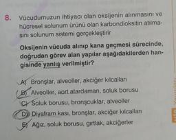 8.
Vücudumuzun ihtiyacı olan oksijenin alınmasını ve
hücresel solunum ürünü olan karbondioksitin atılma-
sını solunum sistemi gerçekleştirir
Oksijenin vücuda alınıp kana geçmesi sürecinde,
doğrudan görev alan yapılar aşağıdakilerden han-
gisinde yanlış verilmiştir?
A) Bronşlar, alveoller, akciğer kılcalları
B Alveoller, aort atardamarı, soluk borusu
C Soluk borusu, bronşcuklar, alveoller
D Diyafram kası, bronşlar, akciğer kılcalları
EAğız, soluk borusu, gırtlak, akciğerler