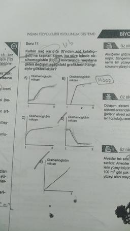 18 kez
İşük (12)
faktörle-
enak-
Masina
n kısmi
si (ba-
n.art-
sitleş-
unlu-
zları
yü-
-lar-
eri-
İNSAN FİZYOLOJİSİ (SOLUNUM SİSTEMİ)
Soru 11
lib
Kalbin sağ karıcığı (I)'ndan sol kulakçı-
(II)'na taşınan kanın, bu süre içinde ok-
sihemoglobin (HbO₂ miktarında meydana
gelen değişim aşağıdakl grafiklerin hangi-
siyle gösterilebilir?
A)
C)
Oksihemoglobin
miktarı
J
Oksihemoglobin
miktarı
E)
||
B)
miktarı
Oksihemoglobin
Oksihemoglobin
miktarı
Oksihemoglobin
miktarı
11
Öz Bir
Akciğerler göğüs
miştir. Süngerim
nemli bir yüzeye
solunum yüzeyi a
H302
BİYO
ÖZ Bİ
Dolaşım sistemi
sistemi arasındak
ğerlerin alveol adr
leri topluluğu aras
CB
ÖZ BİL
Alveolar tek sıralı,
sarılıdır. Alveoller
lerin yüzeyi büyüm
100 m² gibi çok
yüzeyl alanı meyd