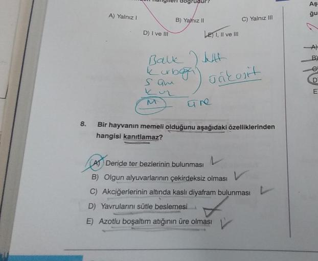 8.
A) Yalnız I
D) I ve III
dogrudur?
B) Yalnız II
LE) I, II ve III
Balk ) Juft
kur
Lorbegn
sam
Kuz
C) Yalnız III
ankon't
are
Bir hayvanın memeli olduğunu aşağıdaki özelliklerinden
hangisi kanıtlamaz?
A) Deride ter bezlerinin bulunması
L
B) Olgun alyuvarlar