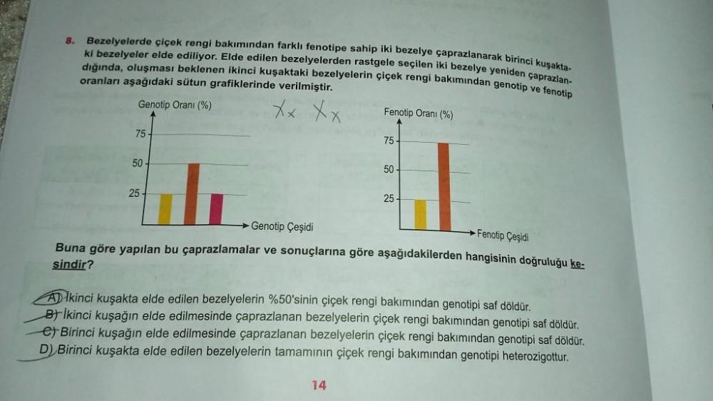 8. Bezelyelerde çiçek rengi bakımından farklı fenotipe sahip iki bezelye çaprazlanarak birinci kuşakta-
ki bezelyeler elde ediliyor. Elde edilen bezelyelerden rastgele seçilen iki bezelye yeniden çaprazlan-
dığında, oluşması beklenen ikinci kuşaktaki bezel