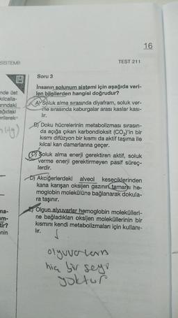 SİSTEMİ)
nde üst
kılcalla-
arındaki
ağıdaki
erilerek
Hig)
ma-
m-
tir?
nin
TEST 211
Soru 3
Insanın solunum sistemi için aşağıda veri-
len bilgilerden hangisi doğrudur?
A Soluk alma sırasında diyafram, soluk ver-
ne sırasında kabu arası kaslar kası-
lır.
B) Doku hücrelerinin metabolizması sırasın-
da açığa çıkan karbondioksit (CO₂)'in bir
kısmı difüzyon bir kısmı da aktif taşıma ile
kılcal kan damarlarına geçer.
Soluk alma enerji gerektiren aktif, soluk
verme enerji gerektirmeyen pasif süreç-
lerdir.
D) Akciğerlerdeki alveol keseciklerinden
kana karışan oksijen gazının tamamı he-
moglobin molekülüne bağlanarak dokula-
ra taşınır.
Olgun alyuvarlar hemoglobin molekülleri-
ne bağladıkları oksijen moleküllerinin bir
kısmını kendi metabolizmaları için kullanı-
lır.
S
olyuvalarr
hiç bir sey
yoktur
16