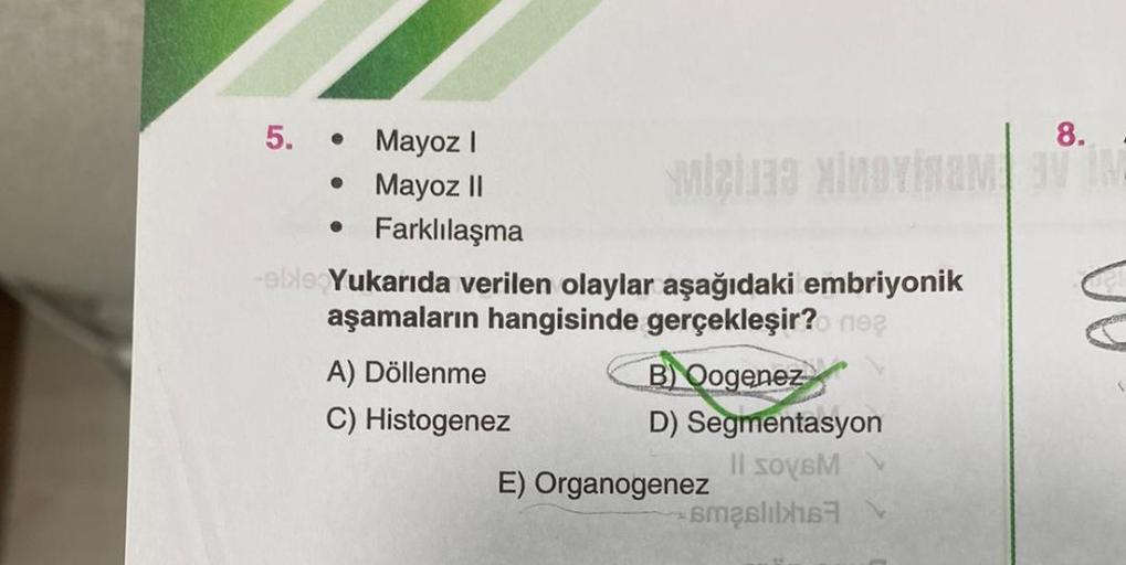 5.
●
●
Mayoz I
Mayoz II
Farklılaşma
8.
MIU MINIM BY IM
M
-eble Yukarıda verilen olaylar aşağıdaki embriyonik
aşamaların hangisinde gerçekleşir? ne?
A) Döllenme
C) Histogenez
B) Oogenez
D) Segmentasyon
Il sovsM
maslik
E) Organogenez