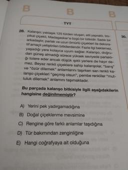 B
B
TYT
B
28. Kalanşo; yaklaşık 125 türden oluşan, etli yapraklı, tro-
pikal çiçekli, Madagaskar'a özgü bir bitkidir. Sadık bir
arkadaştır, parlak ve uzun ömürlü çiçekleri ile dekora-
tif amaçlı yetiştirilen bitkilerdendir. Fazla ilgi beklemez,
yaşadığı yere kolayca uyum sağlar. Kalanşo, doğru-
dan güneş almadığı sürece yüksek seviyede parlaklı-
ğı tolere eder ancak düşük ışıklı yerlere de hayır de-
mez. Beyaz renkli çiçeklere sahip kalanşolar, "barış"
ve "özür dilemek" anlamlarını taşırken sarı renkli ka-
lanşo çiçekleri "geçmiş olsun", pembe renkliler "mut-
luluk dilemek" anlamını taşımaktadır.
Bu parçada kalanşo bitkisiyle ilgili aşağıdakilerin
hangisine değinilmemiştir?
A) Yerini pek yadırgamadığına
B) Doğal çiçeklenme mevsimine
C) Rengine göre farklı anlamlar taşıdığına
D) Tür bakımından zenginliğine
E) Hangi coğrafyaya ait olduğuna
10
30.