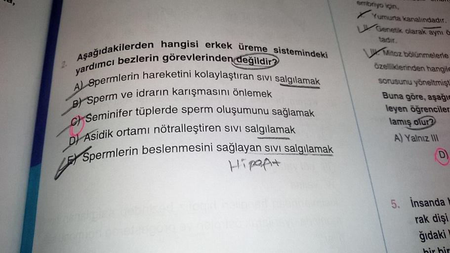 Aşağıdakilerden hangisi erkek üreme sistemindeki
yardımcı bezlerin görevlerinden değildir?
A) Spermlerin hareketini kolaylaştıran sivi salgılamak
B Sperm ve idrarın karışmasını önlemek
C) Seminifer tüplerde sperm oluşumunu sağlamak
D Asidik ortamı nötralle