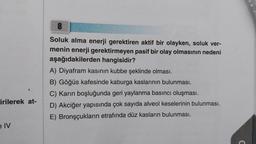 irilerek at-
e IV
8
Soluk alma enerji gerektiren aktif bir olayken, soluk ver-
menin enerji gerektirmeyen pasif bir olay olmasının nedeni
aşağıdakilerden hangisidir?
A) Diyafram kasının kubbe şeklinde olması.
B) Göğüs kafesinde kaburga kaslarının bulunması.
C) Karın boşluğunda geri yaylanma basıncı oluşması.
D) Akciğer yapısında çok sayıda alveol keselerinin bulunması.
E) Bronşçukların etrafında düz kasların bulunması.
C