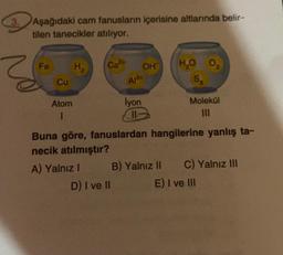 3. Aşağıdaki cam fanusların içerisine altlarında belir-
tilen tanecikler atılıyor.
Fe
Cu
Atom
1
H₂
Ca²+
A) Yalnız I
D) I ve II
OH
A134
lyon
11
H₂O 0₂
Sa
Buna göre, fanuslardan hangilerine yanlış ta-
necik atılmıştır?
Molekül
111
B) Yalnız II C) Yalnız III
E) I ve III