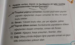 4. Aşağıda verilen, biyom ve bu biyoma ait bitki özelliği
eşleştirmelerinden hangisi (yanlıştır?
Tropikal yağmur ormanları: Sürekli yeşil kalan yayvan
yapraklı ağaçlardan oluşan ormanlar ile otsu ve uzun
boylu bitkiler
B) Savan: Yüksek boylu otlar, yer yer ağaçlar, çalılar
Yaprak döken orman: Sonbaharda yapraklarını döken
ağaçlardan oluşan ormanlar, orman altı florası
D) Çalılık: Ağaçsız, kaya yosunları, likenler, otlar
E) Dağ: Dikey yönde değişen iğne yapraklı orman ve çayır
bitki örtüsünden yoksun alan
8.