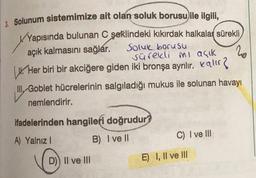 3. Solunum sistemimize ait olan soluk borusu ile ilgili,
✓Yapısında bulunan C şeklindeki kıkırdak halkalar sürekli,
açık kalmasını sağlar.
Soluk borusu
sürekli mi açık
20
Her biri bir akciğere giden iki bronşa ayrılır. Kalır?
III Goblet hücrelerinin salgıladığı mukus ile solunan havayı
Go
nemlendirir.
ifadelerinden hangileri doğrudur?
A) Yalnız I
B) I ve Il
D)) II ve III
C) I ve III
E) I, II ve III