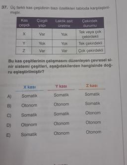 37. Üç farklı kas çeşidinin bazı özellikleri tabloda karşılaştırıl-
mıştır.
Kas Çizgili
çeşidi
yapı
X
Var
A)
B)
C)
D)
E)
Y
Z
X kası
Somatik
Otonom
Somatik
Otonom
Yok
Var
Somatik
Laktik asit
üretme
Yok
Bu kas çeşitlerinin çalışmasını düzenleyen çevresel si-
nir sistemi çeşitleri, aşağıdakilerden hangisinde doğ-
ru eşleştirilmiştir?
Yok
Var
Y kası
Somatik
Otonom
Somatik
Otonom
Çekirdek
durumu
Otonom
Tek veya çok
çekirdekli
Tek çekirdekli
Çok çekirdekli
Z kasi
Somatik
Somatik
Otonom
Otonom
Otonom