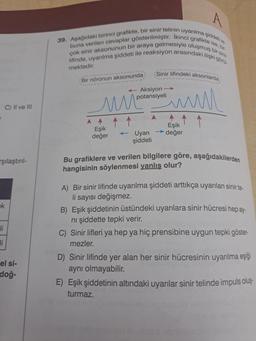 C) II ve III
şılaştırıl-
ak
li
li
el si-
doğ-
A
39. Aşağıdaki birinci grafikte, bir sinir telinin uyarılma şiddeti ve
buna verilen cevaplar gösterilmiştir. Ikinci grafikte ise, bir
lifinde, uyarılma şiddeti ile reaksiyon arasındaki ilişki görü
çok sinir aksonunun bir araya gelmesiyle oluşmuş bir sinir
mektedir.
Bir nöronun aksonunda
Aksiyon →
potansiyeli
www
^^ ↑ ↑
Eşik
değer
Sinir lifindeki aksonlarda
← Uyarı
şiddeti
Eşik
değer
↑ ↑
Bu grafiklere ve verilen bilgilere göre, aşağıdakilerden
hangisinin söylenmesi yanlış olur?
A) Bir sinir lifinde uyarılma şiddeti arttıkça uyarılan sinir te-
li sayısı değişmez.
B) Eşik şiddetinin üstündeki uyarılara sinir hücresi hep ay-
ni şiddette tepki verir.
Sinir lifleri ya hep ya hiç prensibine uygun tepki göster-
mezler.
D) Sinir lifinde yer alan her sinir hücresinin uyarılma eşiği
aynı olmayabilir.
E) Eşik şiddetinin altındaki uyarılar sinir telinde impuls oluş-
turmaz.