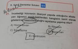 9. Sınıf Deneme Sınavı 03
Antee
21. Incelediği hücrenin ökaryot yapıda olduğunu söyle-
yen öğrenci aşağıdakilerden hangisini kanıt olarak
gösterirse kesinlikle doğru açıklama yapmış olur?
A) Hücre duvarı
B) Ribozom
C) Sitoplazma
DY Hücre zarı
E) Sentrozom