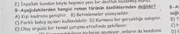 E) İnşallah bundan böyle hepimiz yeni bir dostluk kazanmış
9-Aşağıdakilerden hangisi roman türünün özelliklerinden değildir?
A) Kişi kadrosu geniştir. B) Betimlemeler yüzeyseldir.
C) Farklı bakış açıları kullanılabilir. D) Kurmaca bir gerçekliğe sahiptir.
E) Olay örgüsü bir temel çatışma etrafında şekillenir.
(T)K ucundakilerin hicbirini sevmiyor, onların da kendisini
8-As
sağla
B) T
C) H
D) G