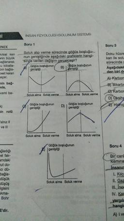 Ji
RNEK
kılcal kan
nin büyük
bağlanarak
cu kılcalla-
bin bağla-
best kalan
jeçer.
nin bağ-
da,
kısmi ba-
in rolü
alnız II
ve Ill
ağladığı
nel fak-
amdaki
cut do-
ci dü-
bağla-
düşük
düşüş
igisini
akma-
Bohr
E'dir.
INSAN FİZYOLOJİSİ (SOLUNUM SİSTEMİ)
Soru 1
Soluk alıp verme sürecinde göğüs boşluğu-
nun genişliğinde aşağıdaki grafiklerin hangi-
sinde verilen değişim gerçekleşir?
B)
Göğüs boşluğunun
genişliği
Soluk alma Soluk verme
Göğüs boşluğunun
genişliği
18
Soluk alma Soluk verme
D)
Göğüs boşluğunun
genişliği
Soluk alma Soluk verme
Göğüs boşluğunun
genişliği
Soluk alma Soluk verme
Göğüs boşluğunun
genişliği
Soluk alma Soluk verme
Soru 3
Doku hücre
kan ile solu
sürecinde c
Aşağıdakil
den biri de
A) Karbon
B) Bikarbo
C) Karbor
D) Oksihe
E) Hidroj
Soru 4
Bir canl
kismina
Insanin
1. Kilca
II. Gaz
III. Ince
IV. Kar
yargıla
hangis
A) I ve