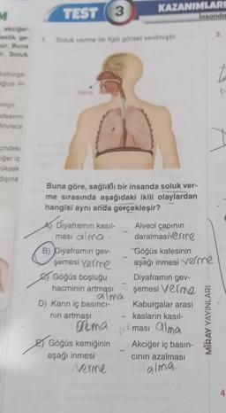 grya in-
M
- akciğer
astik ge- 1. Soluk verme ile ilgili görsel verilmiştir.
ur. Buna
ir. Soluk
eleşir.
afesinin
Böylece
TEST 3
cindeki
ciğer iç
üksek
dişina
hava
Buna göre, sağlıklı bir insanda soluk ver-
me sırasında aşağıdaki ikili olaylardan
hangisi aynı anda gerçekleşir?
ATD
Diyaframın kasıl-
ması alma.
B) Diyaframin gev-
şemesi verme
Göğüs boşluğu
hacminin artması
alma
D) Karın iç basıncı-
nın artması
Crema
Göğüs kemiğinin
aşağı inmesi
KAZANIMLARI
Verme
me
Alveol çapının
daralmasiverme
Göğüs kafesinin
aşağı inmesi verme
Diyaframın gev-
şemesi verme
Kaburgalar arası
kasların kasıl-
ması alma
Insanda
Akciğer iç basın-
cının azalması
alma
MIRAY YAYINLARI
3.
t
4