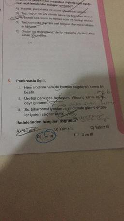 5.
etişkin bir insandaki dişlerle ilgili aşağı-
daki açıklamalardan hangisi yanlıştır?
A) Kesme, parçalama ve ezme işlevlerine sahiptir.
B) Taç, boyun ve kök olmak üzere üç sınadan oluşur.
Besinler kök kısmı ile temas eder ve yüzeyi artırılır.
D) Taç kısmında dişiren sert bölgesi olan mine tabaka-
si bulunur.
E) Dıştan içe doğru mine, dentin ve pulpa (diş özü) taba-
kaları bulundurur.
N
Pankreasla ilgili,
I. Hem sindirim hem de hormon salgılayan karma bir
bezdir.
The b
II. Ürettiği pankreas öz suyunu Wirsung kanalı ile mi
deye gönderir.
Selo SIM! Une thing
III. Su, bikarbonat iyonları ve sindirimde görevli enzim-
ler içeren salgılar üretir.
ifadelerinden hangileri doğrudur?
gretmey
A) Yalnız
B) Yalnız II
(D) I've III
C) Yalnız III
E) I, II ve III