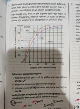 |||
rafik-
CI
ğru-
1. Danimarkalı fizyolog Christion Bohr tarafından ilk defa açık-
lanan Bohr etkisi teorisine göre, kandaki CO₂nin (kan pH)
derişimi hemoglobinin O₂'ye etkisini değiştirmektedir.
Eğer kanda CO₂ artar ve pH düşerse eğri sağa kayar ve
kandan dokulara O₂ bırakılır, kanda CO₂ azalır ve pH yük-
šelirse eğri sola kayar ve akciğerden O₂ alınması artar.
Hemoglobinin % oksijen doygunluğu
100
80
40
WY
20
alkaloz
pH
20
AYalnız I
7.6
74
7.2
40
60
80
Oksijenin kısmi basıncı (mmHg)
asidoz
Yukarıdaki açıklamalara göre;
1. kısa mesafeli bir yarışı hızlı bir şekilde koşmaya çalışan
atlette, V
II. nefesini tutarak 4-5 metreye dalan dalgıçta,
D) I ve II
III. yüksek rakımlı bir dağdan deniz seviyesine inen dağcı-
da, X
verilenlerden hangisinde oksijenin hemoglobinden ay-
rılarak doku sıvısına geçmesi daha kolay olur?
B) Yalarz il
100
E) II ve III
dav
C) Yalnız III
cel
2. Insar
deki
ciğer
dolar
veoll
geçe
dolar
Alve
adı -
sasi
hızı
sabi
doku
Yuk
olle
yör
-BY
C)