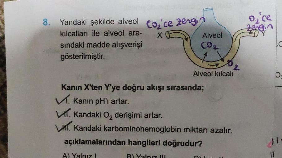 8. Yandaki şekilde alveol Co₂ce zengin
kılcalları ile alveol ara-
X
sındaki madde alışverişi
gösterilmiştir.
Alveol
CO₂
Kanın X'ten Y'ye doğru akışı sırasında;
✓. Kanın pH'ı artar.
V. Kandaki O₂ derişimi artar.
B) Yalnız !!!
Alveol kılcalı
Kandaki karbomin